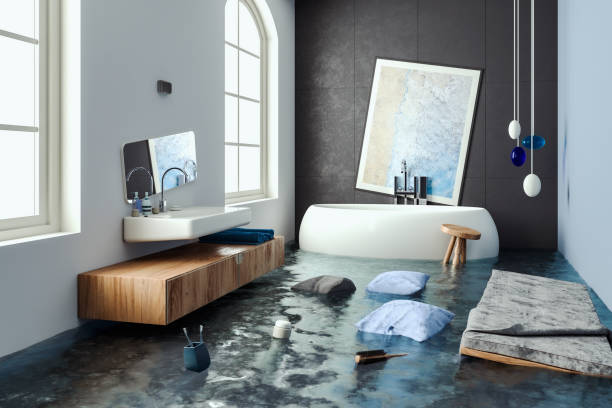 Best Water damage cleanup near me  in Donaldsonville, LA