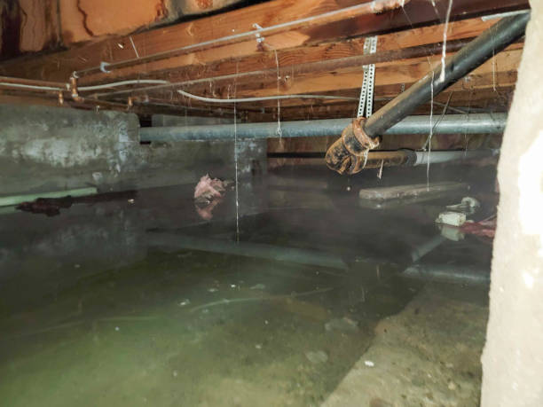 Best Water damage contractors near me  in Donaldsonville, LA