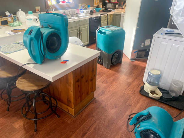 Best Water damage restoration mold remediation  in Donaldsonville, LA