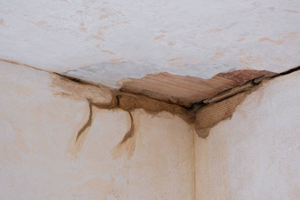Reliable LA Water damage restoration Solutions