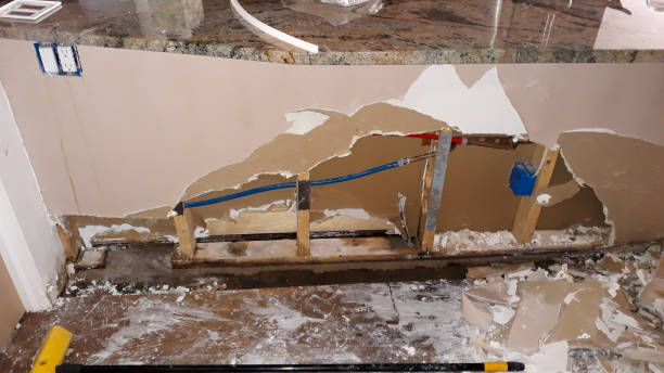 Best Flood damage cleanup  in Donaldsonville, LA