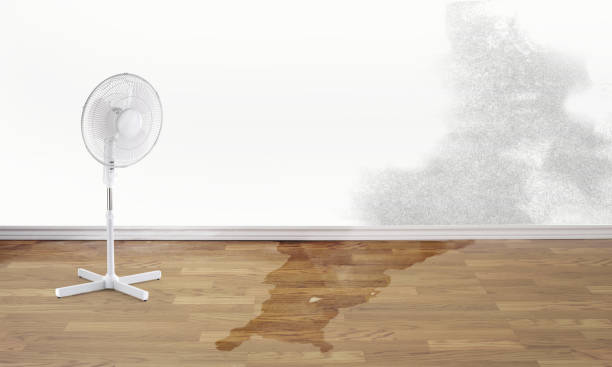 Best Residential water damage restoration  in Donaldsonville, LA