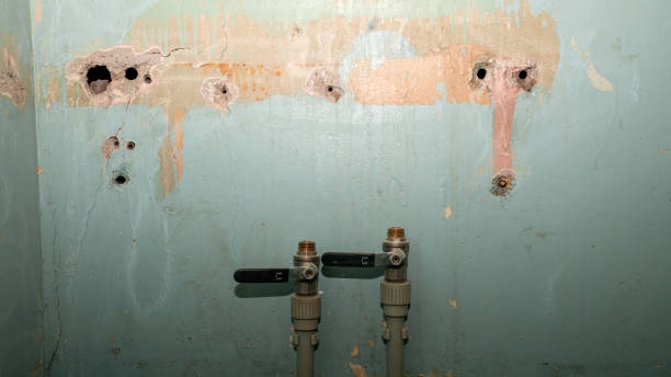  Donaldsonville, LA Water damage restoration Pros